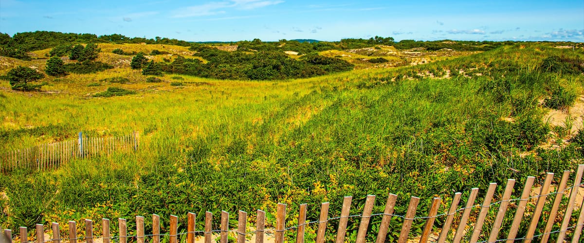 A grassy landscape with a wooden fence in the foreground and a clear blue sky.