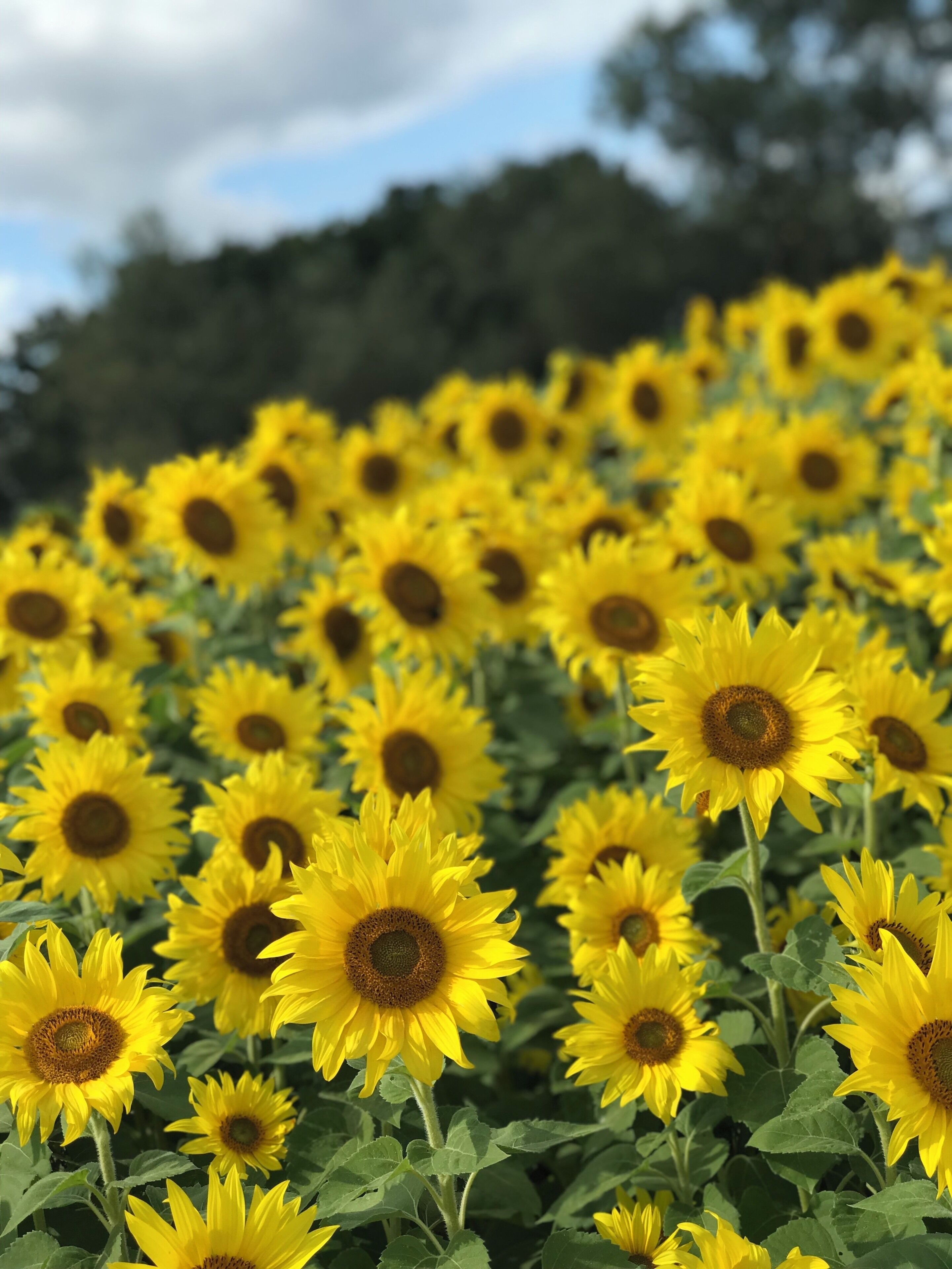 I spent like an hour out here taking pictures. You’ll have a great time and it’s $10 to park!