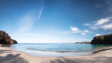 North Pacific Coast which includes a beach and landscape views