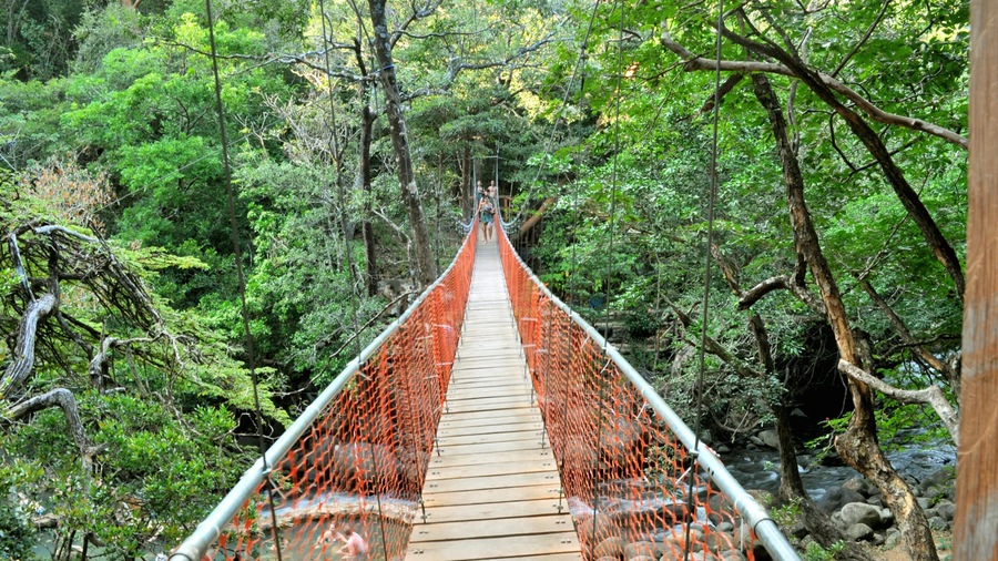 Guanacaste - North Pacific Coast which includes a suspension bridge or treetop walkway, landscape views and hiking or walking