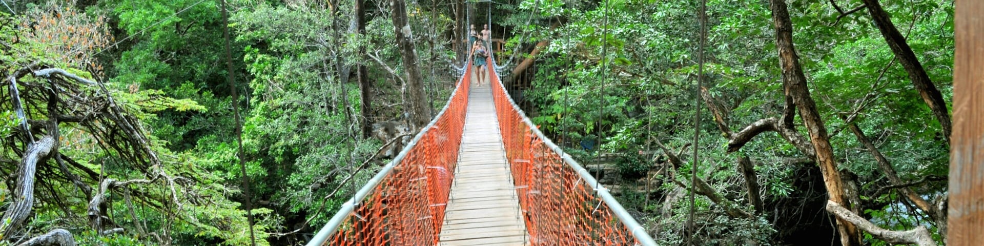 Guanacaste - Pacífico que inclui escalada ou caminhada, uma ponte suspensa ou passarela entre as árvores e florestas