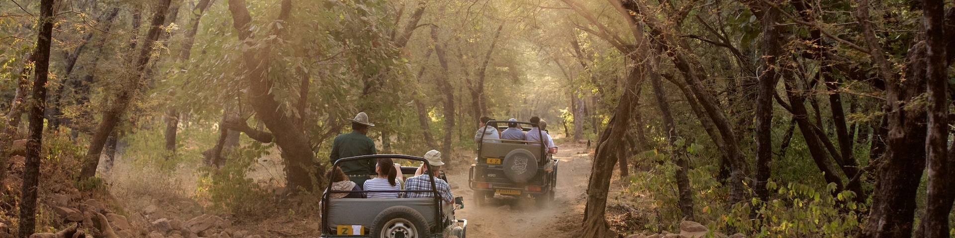 Ranthambore National Park featuring 4 wheel driving
