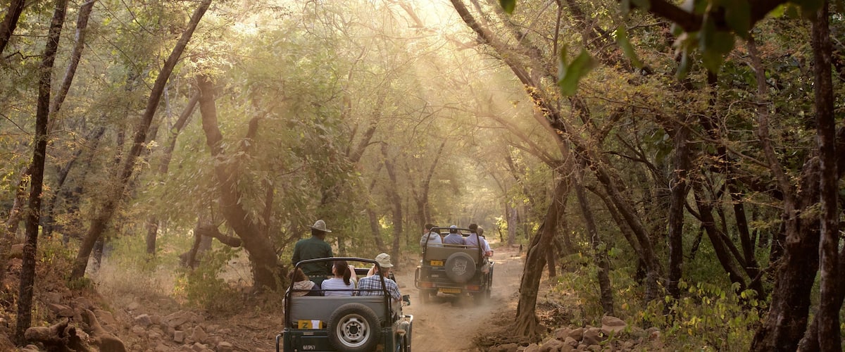 Ranthambore National Park showing 4-wheel driving