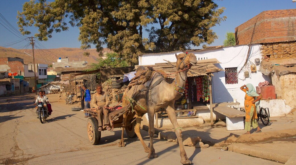 Ranthambore National Park featuring a small town or village and land animals