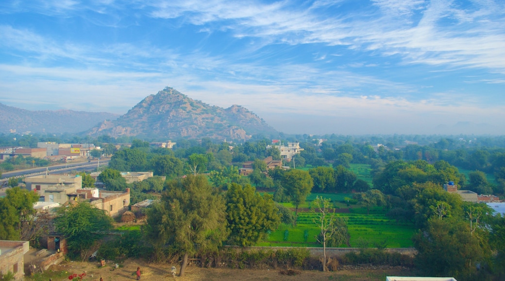 Jaipur which includes farmland, mountains and a small town or village