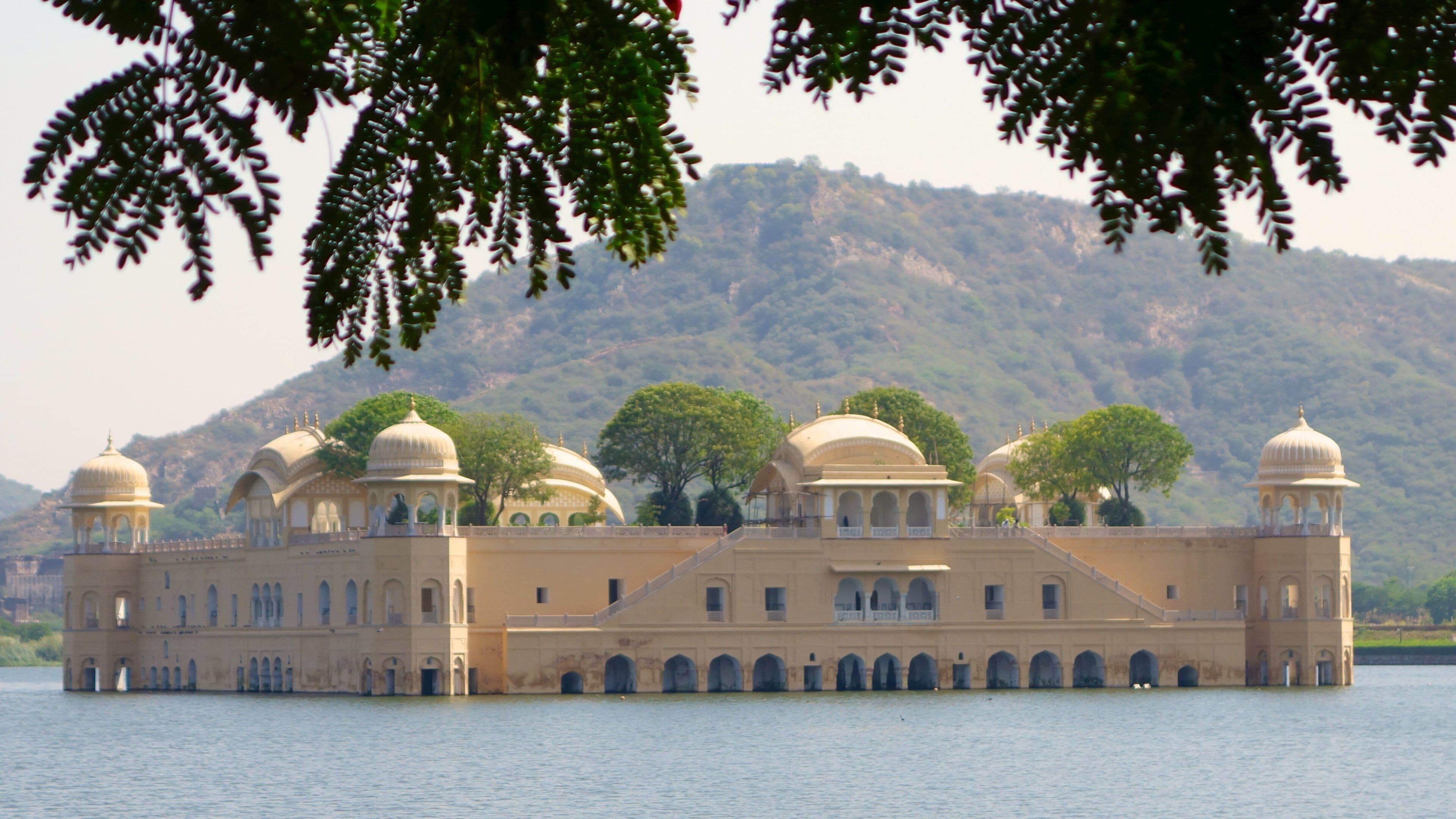 インド旅行ガイドLOVE JAIPUR RAJASTHAN Buy Love Jaipur, Rajasthan Book Online at Low Prices in India