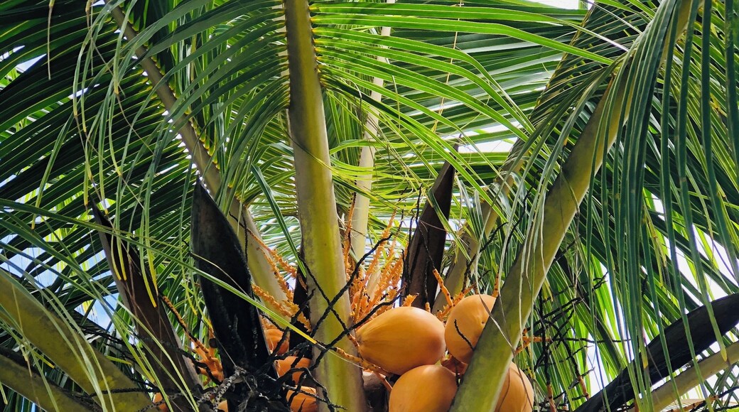 Early beach mornings... #culture