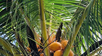 Early beach mornings... #culture