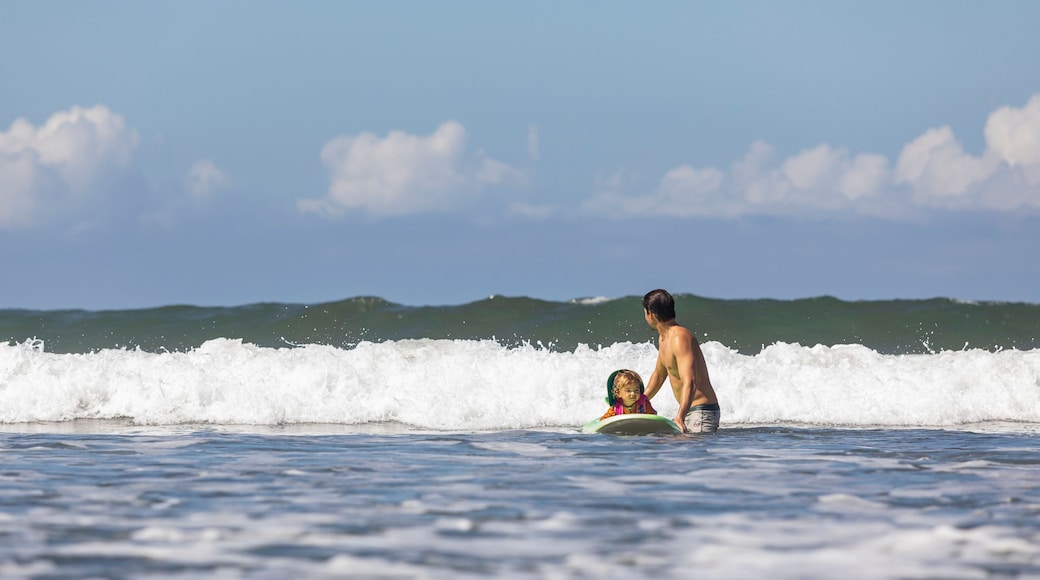 Hispanic Family Surfing Together