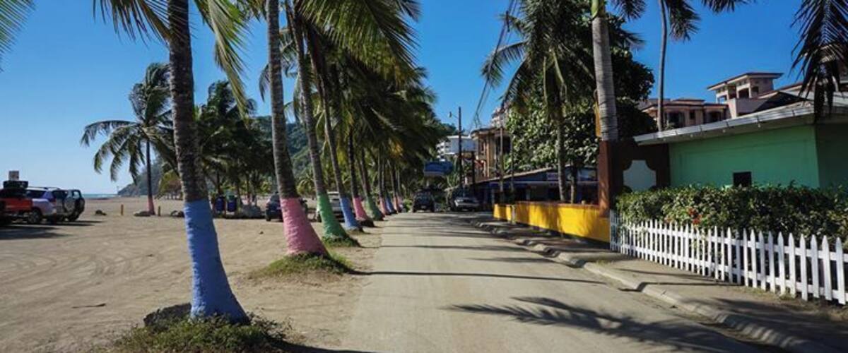 #beach #palms