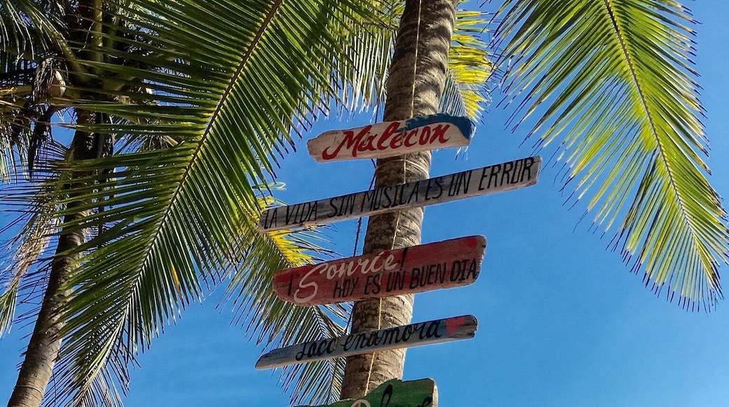 Surfing place in Costa Rica