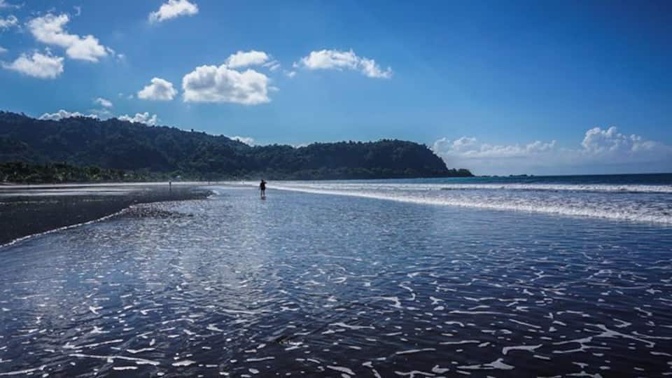 A beach with waves, a person walking, and a forested hill in the background.