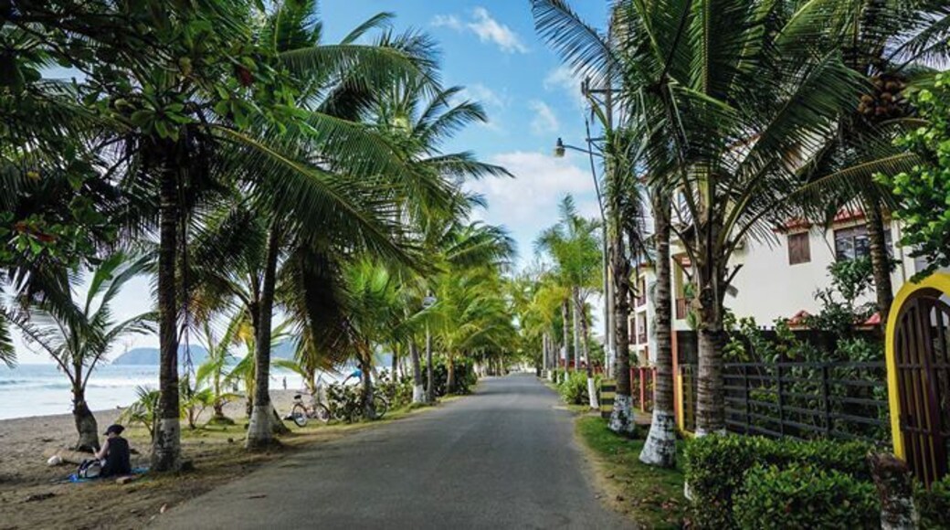 the street along the #beach
