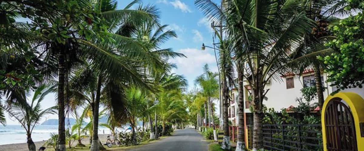 the street along the #beach