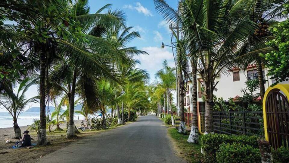 A coastal road lined with palm trees and houses, leading to the beach.
