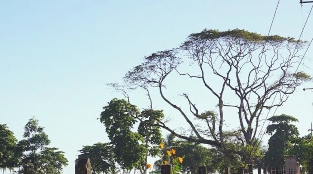 Walking to the #beach #Jaco #costarica