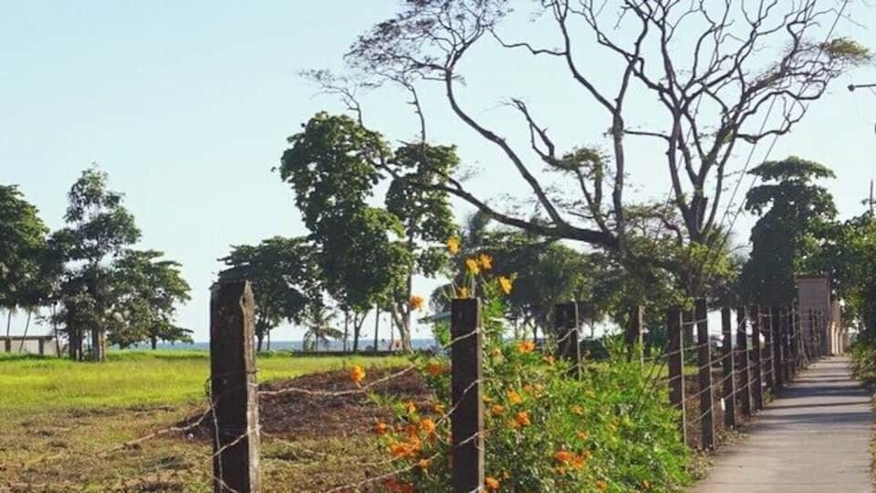 Walking to the #beach #Jaco #costarica