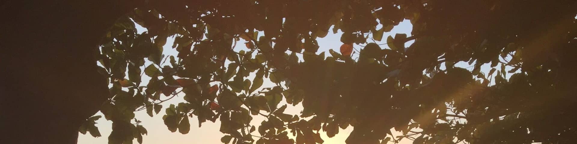 Nothing beats the sunsets on the pacific side of Costa Rica! This beauty was takin on Playa Hermosa just outside of Jaco.