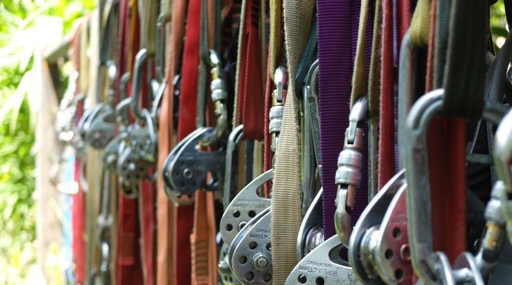 A circuit of 10 zip lines, bridges, and butterfly garden. Ends with a really good costa rican lunch. The trip starts in Quepos and they take your group on a 30 minute van drive inland through palm plantations and green foothills. A great 5-hour adventure for families. $75 pp. www.canopysafari.com