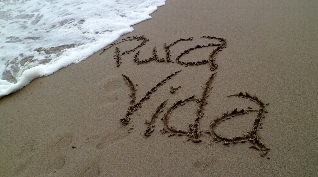 Beach #3
Pura Vida. Literally an energy you can feel while in Costa Rica. A real life Hakuna Matata.
#beach #waterlust