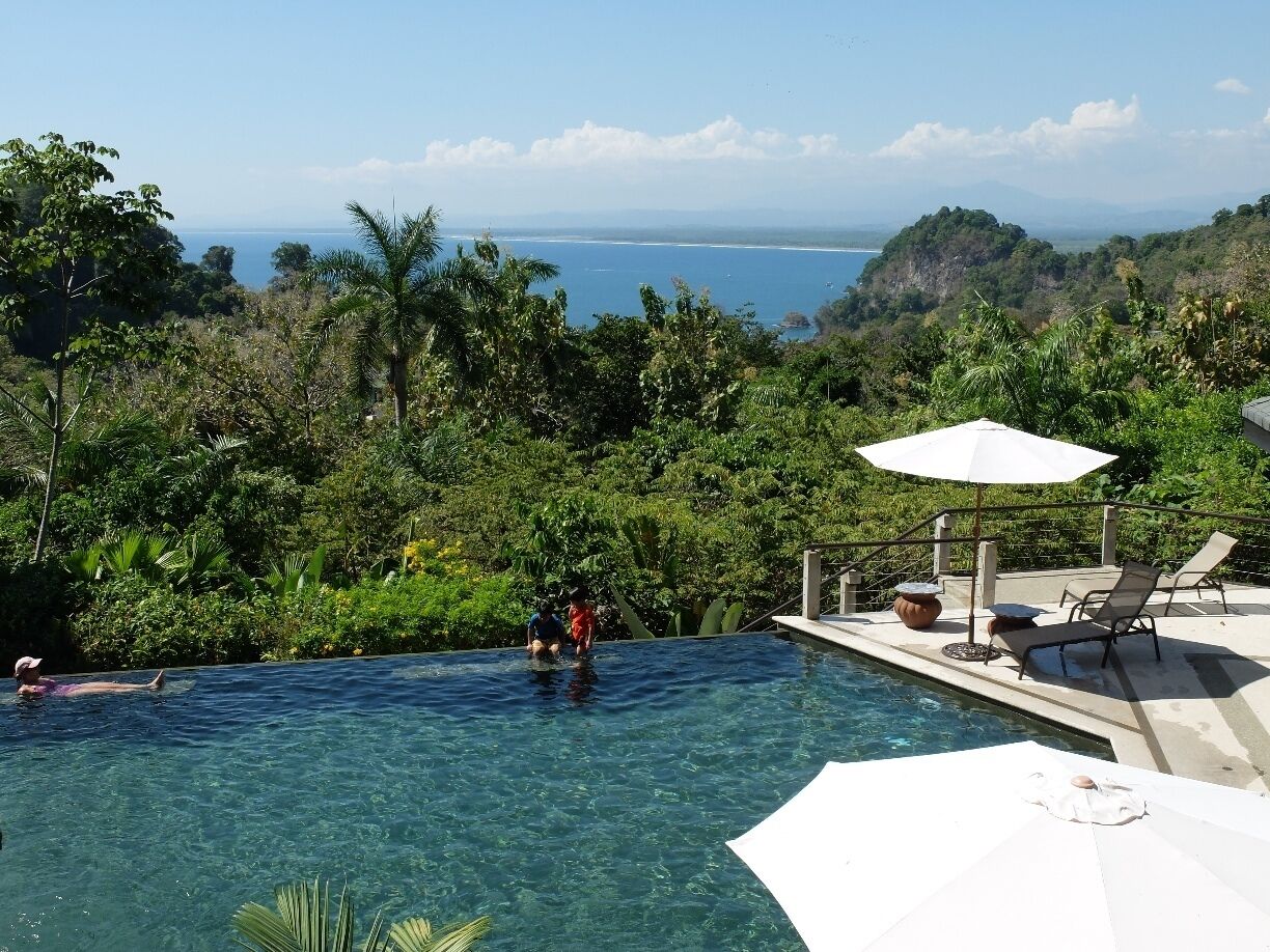 Une piscine offrant une vue sur l’océan et une végétation luxuriante.