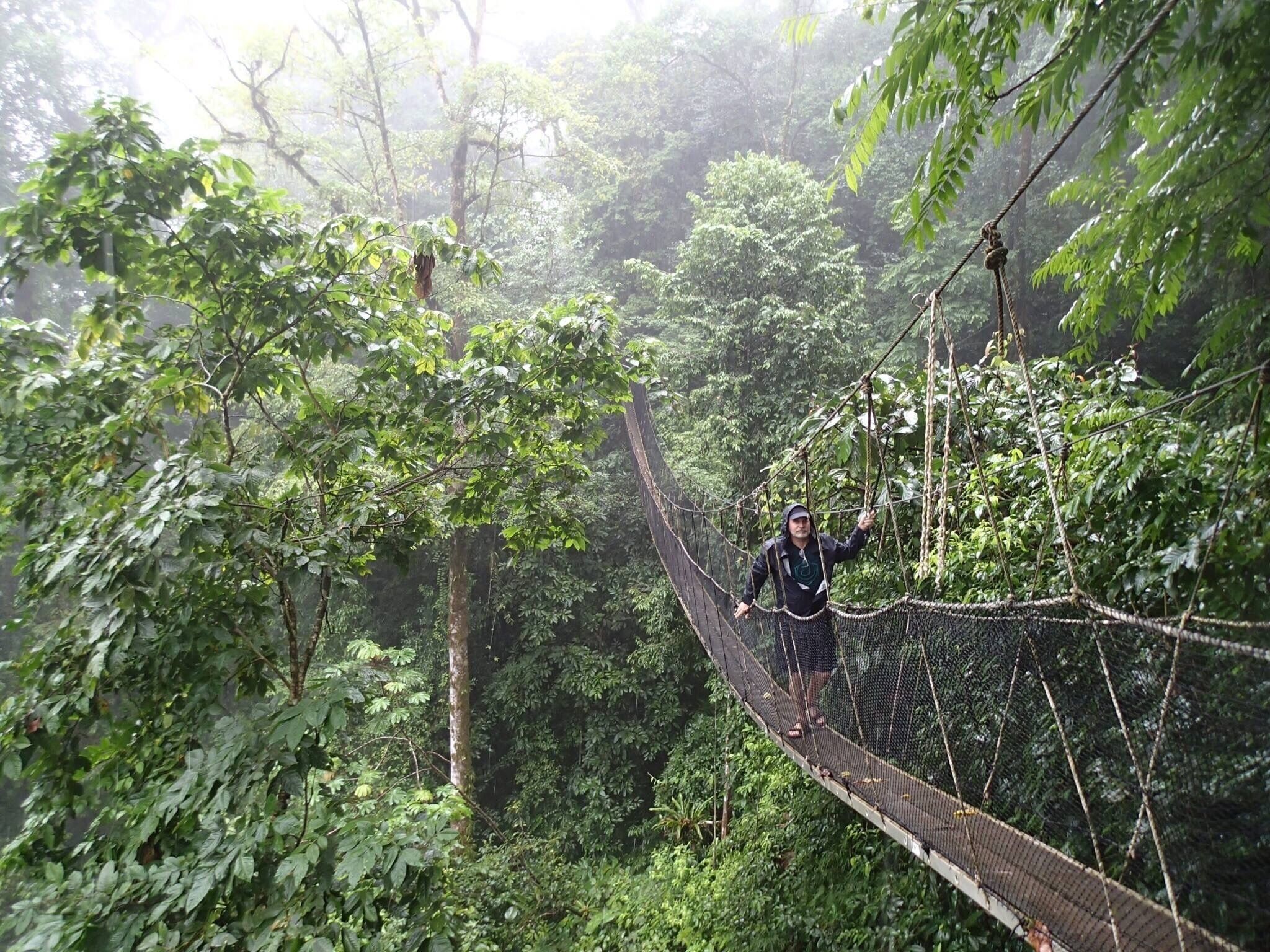 At first I was disappointed to have rain, but It made for a great hike.  After all, that's why they call it the rain forest!