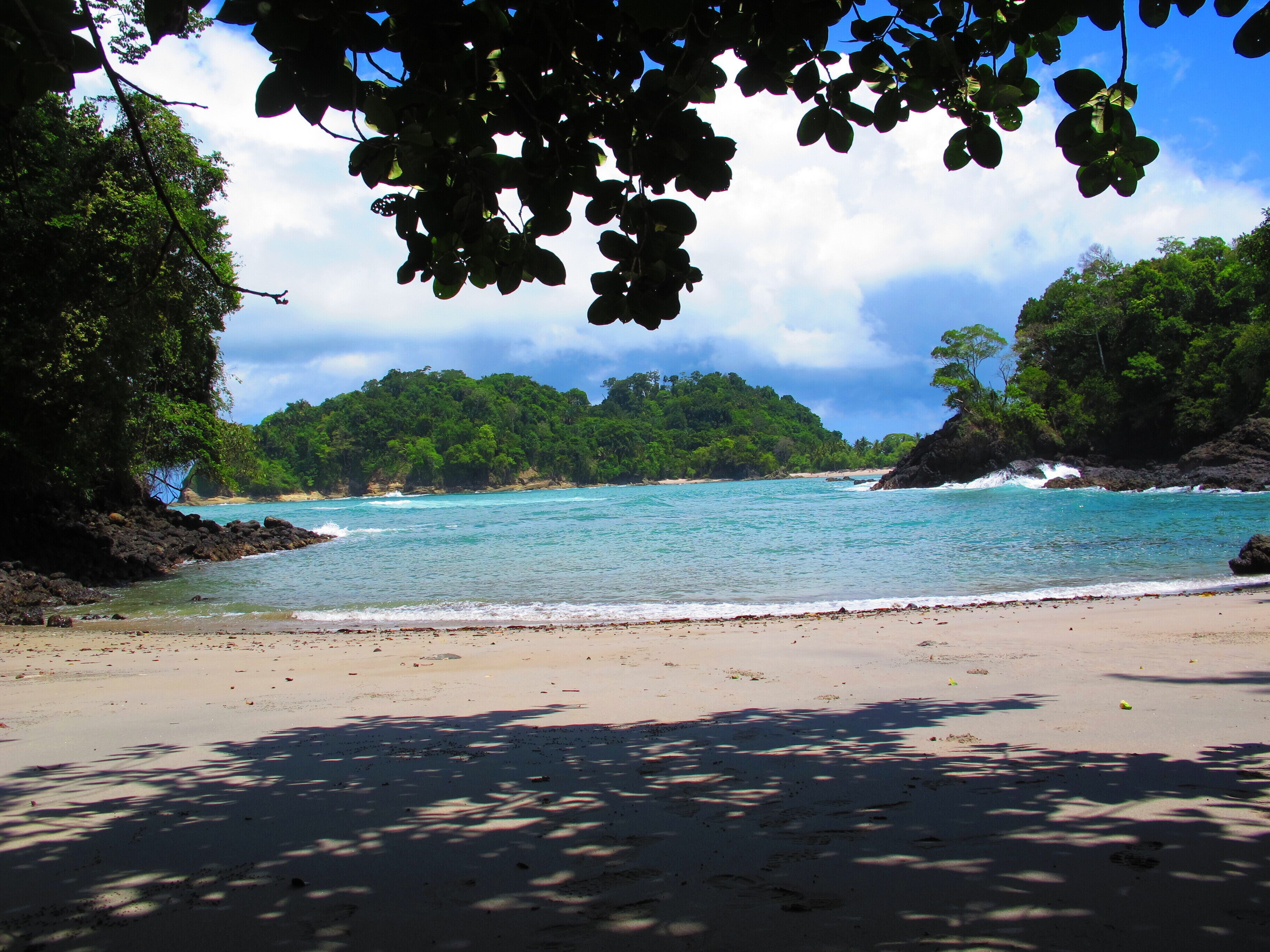 A beach with turquoise water, sandy shore, and lush green forest.