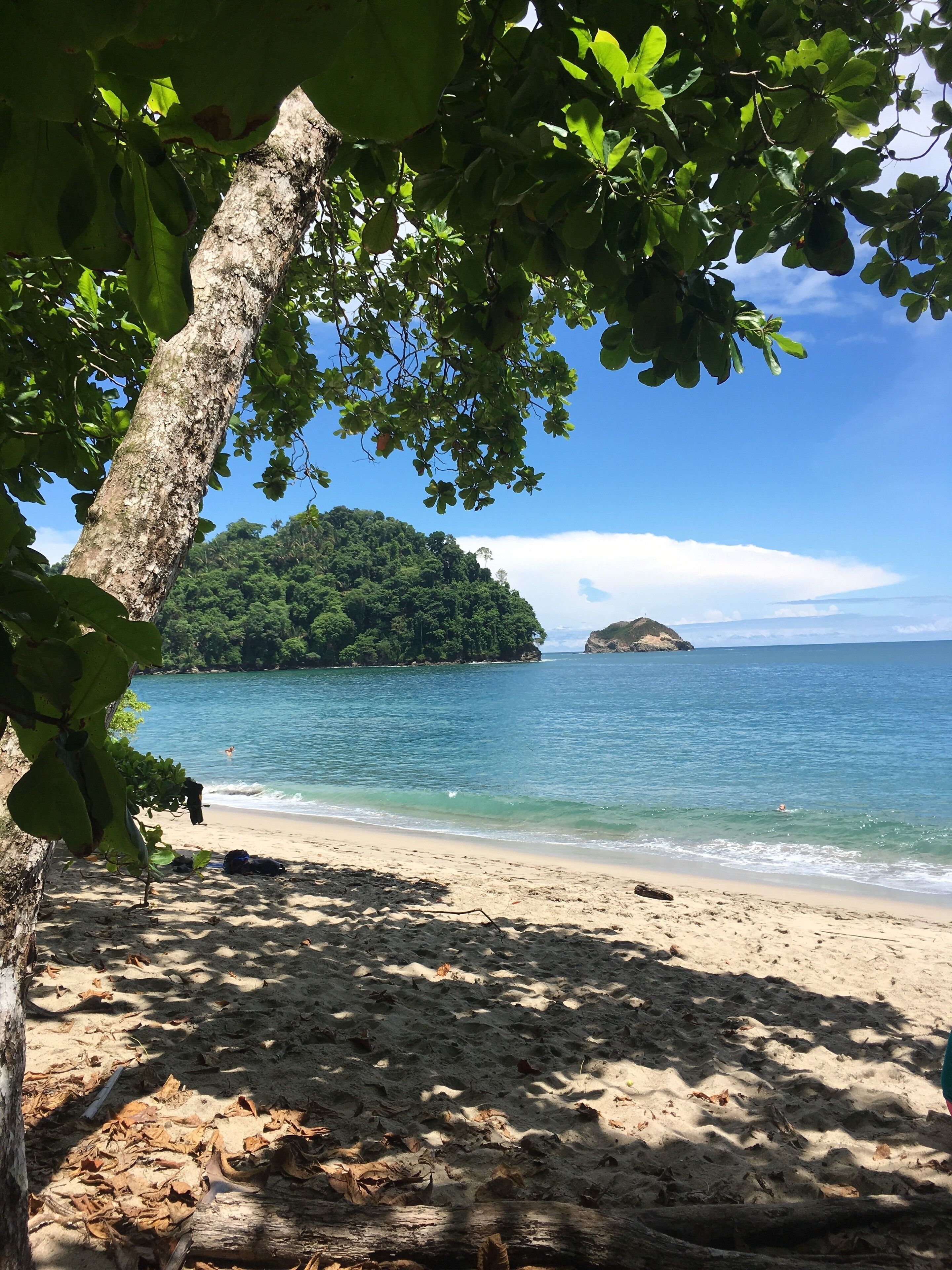 A beach with clear blue water, a sandy shore, and a forested island in the distance.
