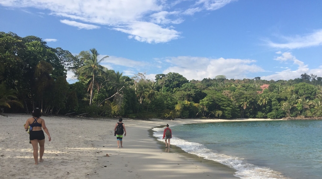 Stay past closing time to get some private beach time. #playamanuelantonio #manuelantonionationalpark #beachbums #CostaRica #puravida