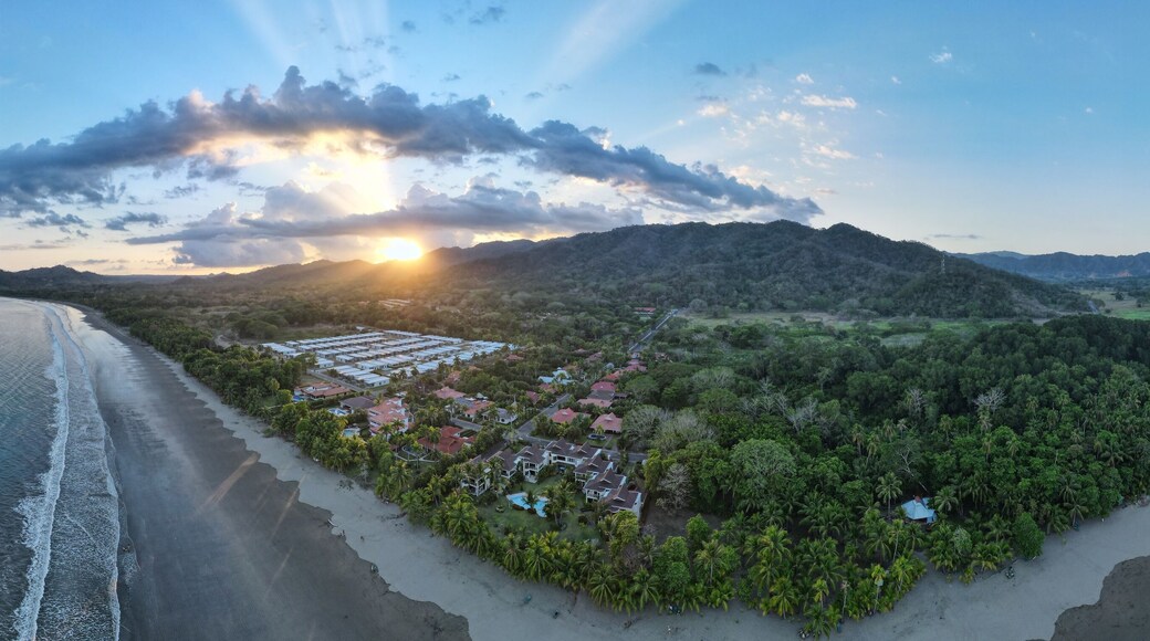 ตัมบอร์