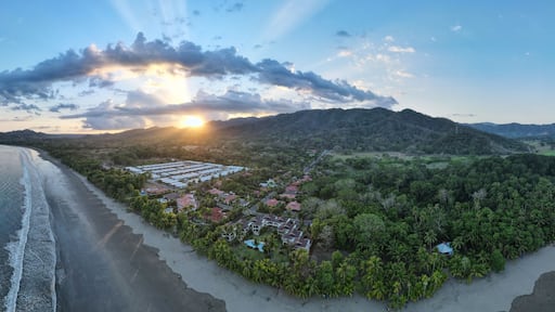 Tambor Beach, Costa Rica - Tropical Paradise Beach lined with palm trees