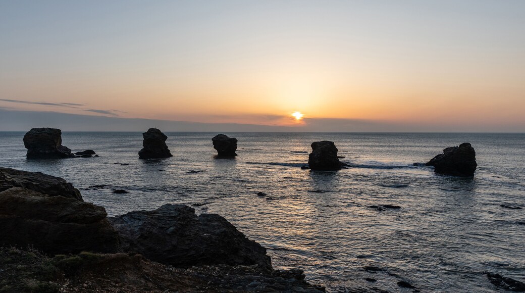 Coucher de soleil sur Les Cinq Pineaux de Saint-Hilaire-de-Riez (Vendée, France)