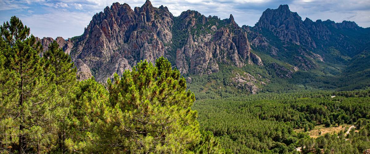 A mountainous landscape with dense pine forests in the foreground and rugged peaks in the background.