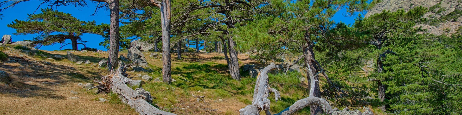 Col de Bavella - Gebirgspass auf Korsika