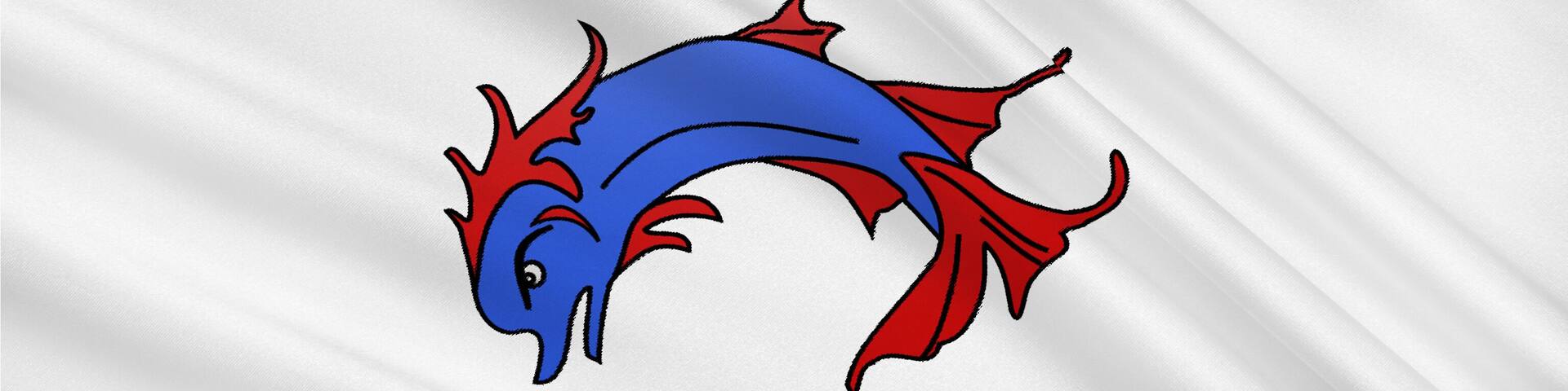 Flag of Dunkirk, France