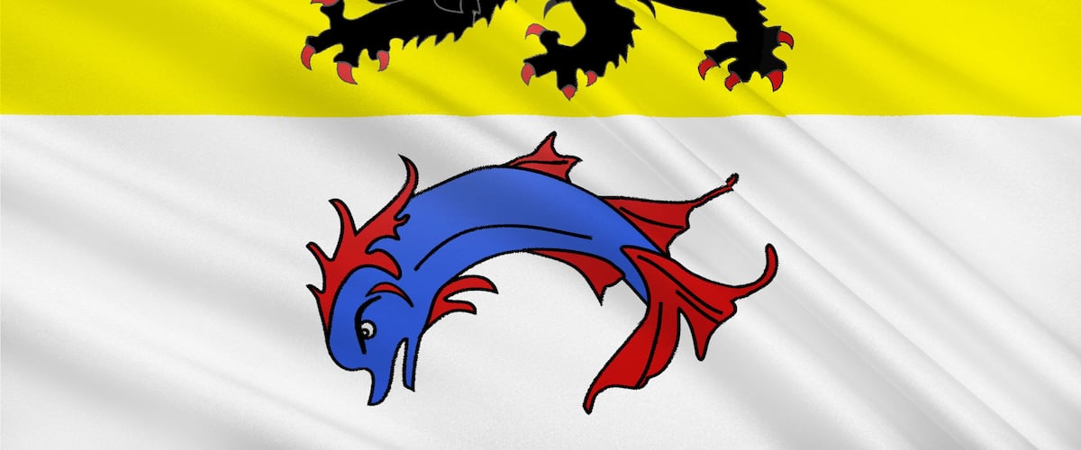 A flag with a black lion on a yellow background and a blue dragon on a white background.