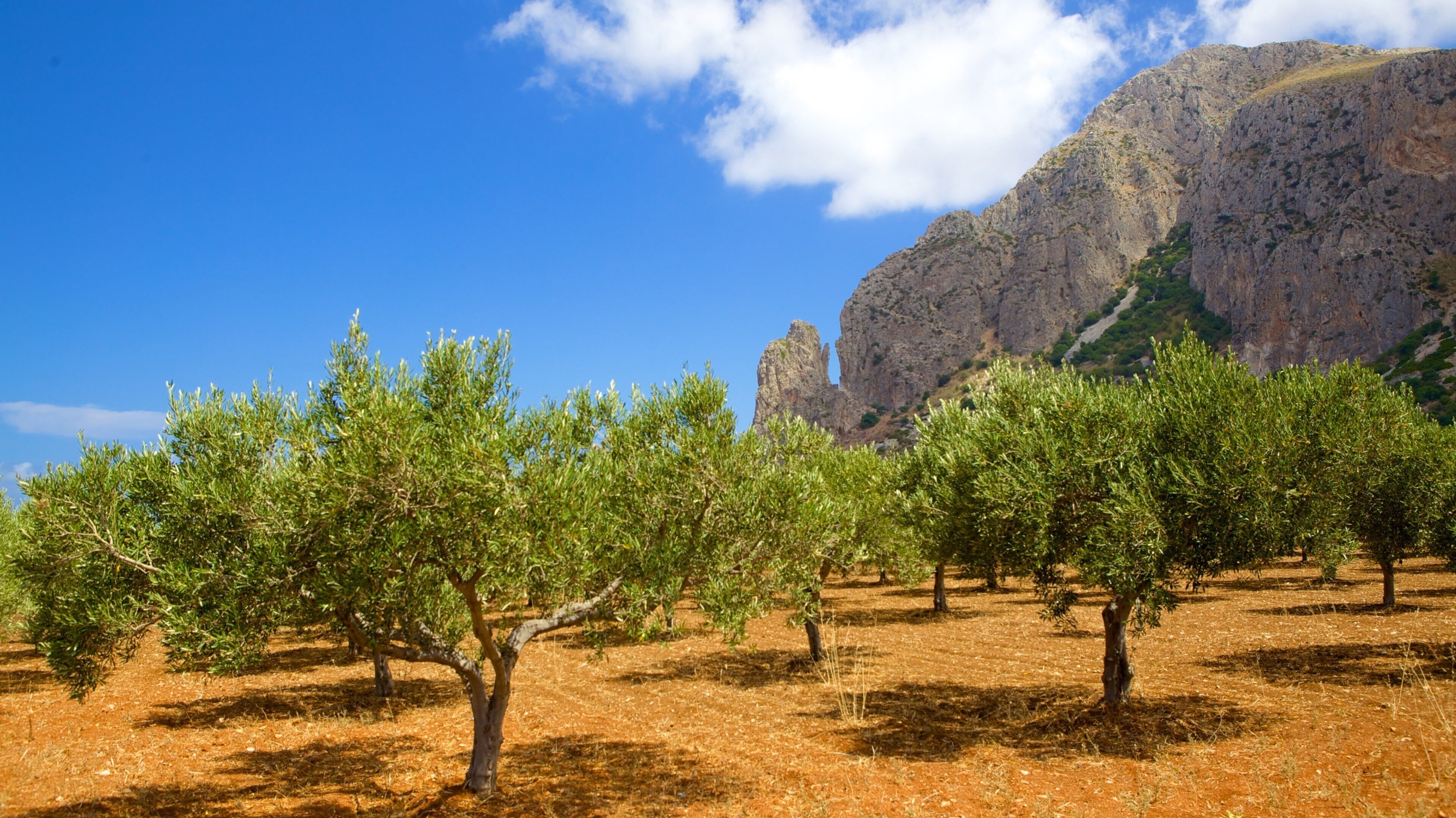 Trapani which includes tranquil scenes, mountains and farmland