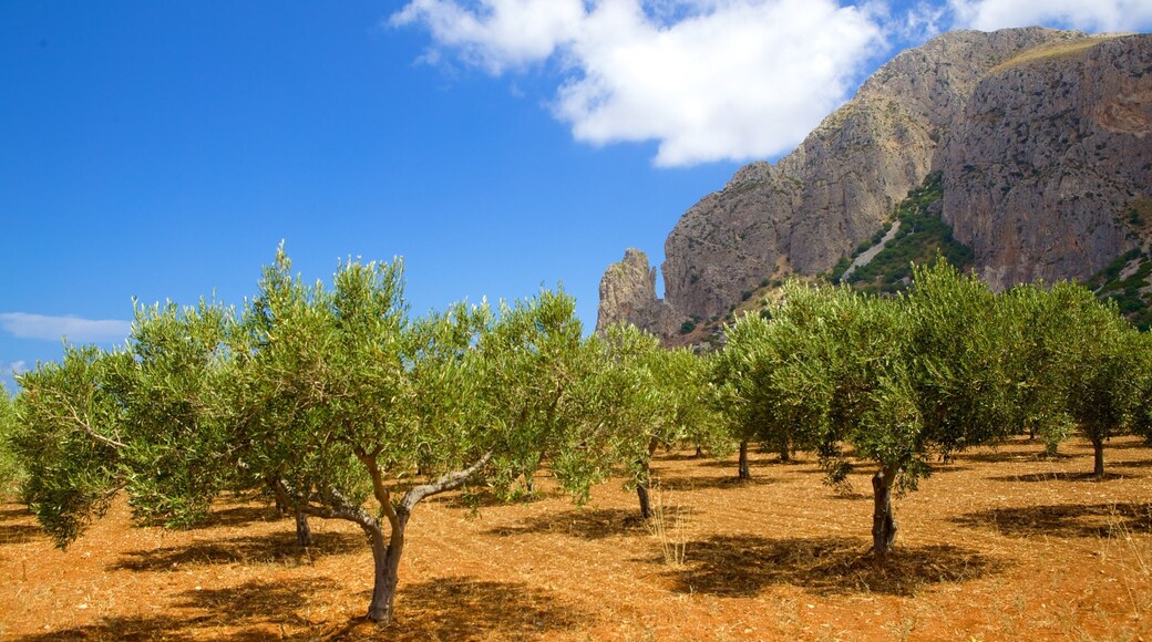 Trapani featuring mountains, farmland and tranquil scenes