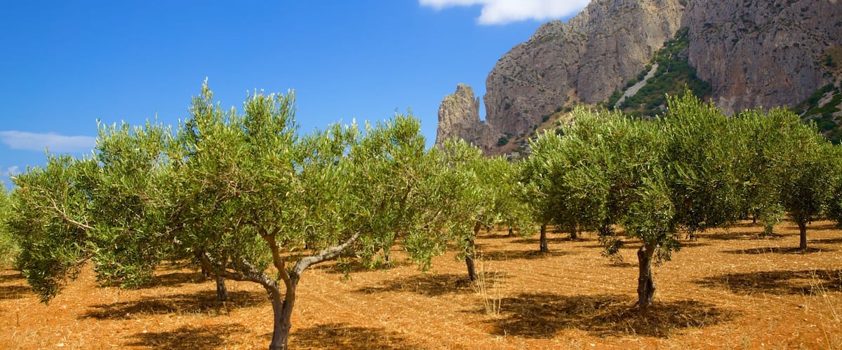 Trapani mettant en vedette montagnes, ferme et scĂšnes tranquilles