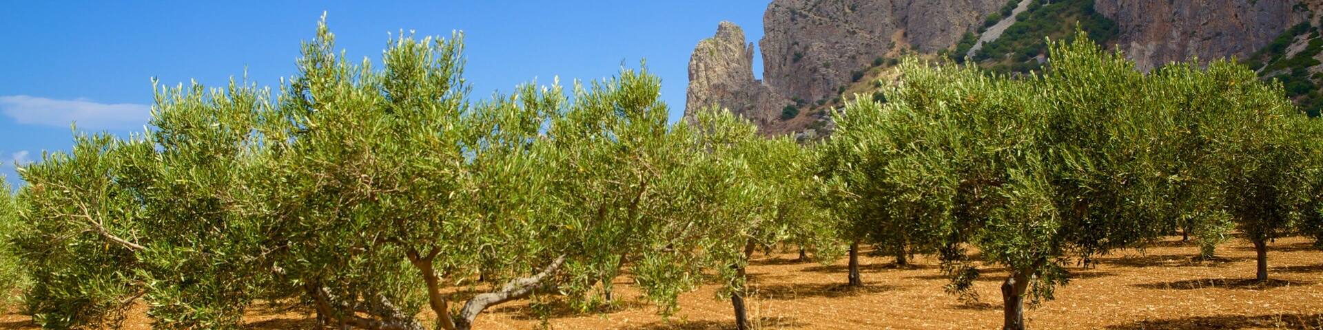 Trapani which includes tranquil scenes, mountains and farmland