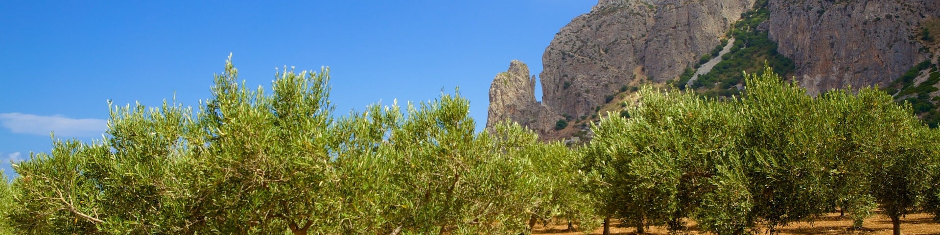 Trapani featuring farmland, mountains and tranquil scenes
