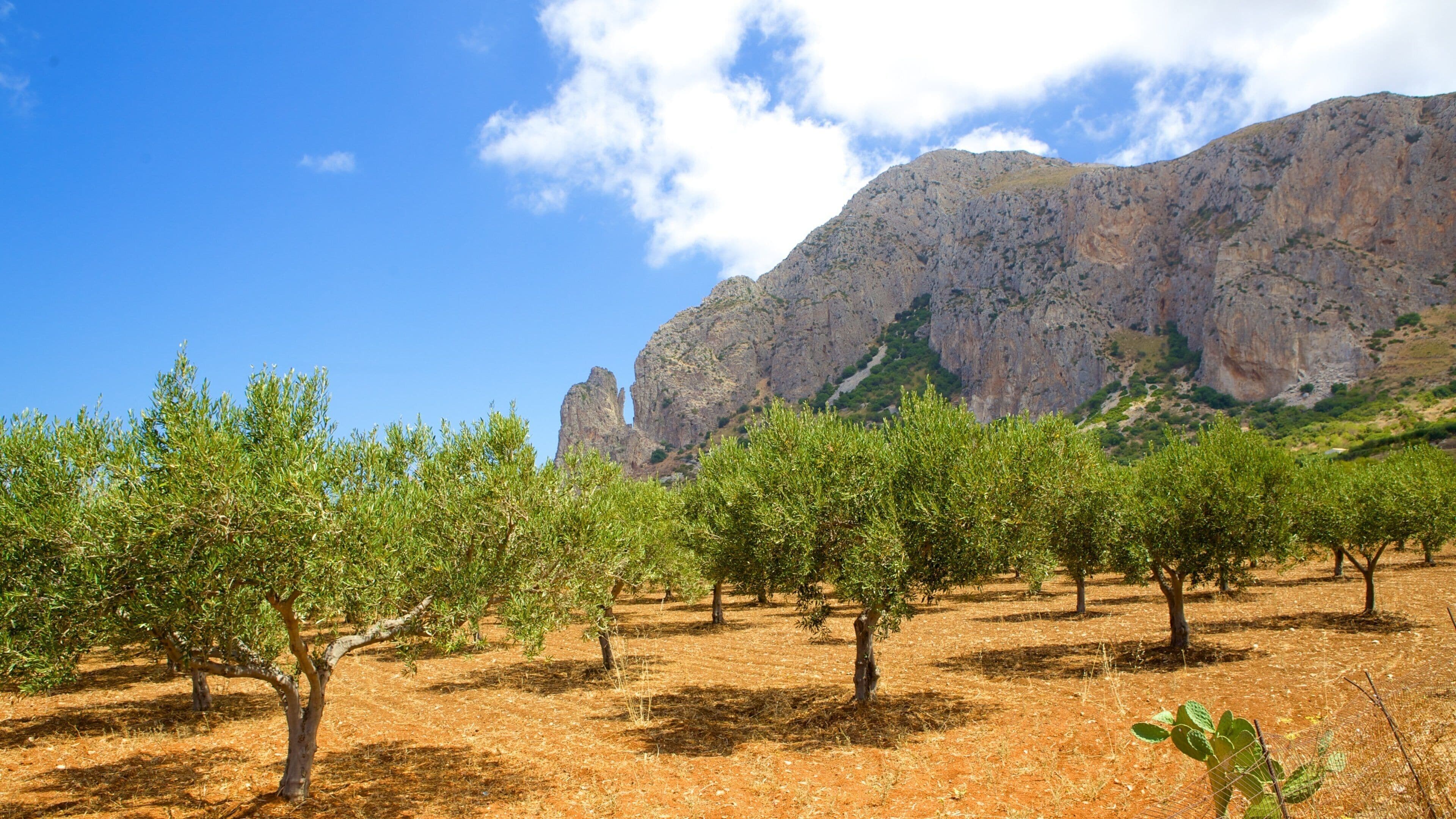 Trapani featuring vuoret, maatila ja rauhalliset maisemat