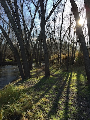 Shadows along the Sunset River near where it converges with the St. Croix. Great hiking from the Sunset Point river access.