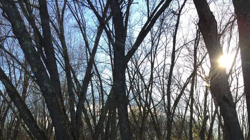 Shadows along the Sunset River near where it converges with the St. Croix. Great hiking from the Sunset Point river access.