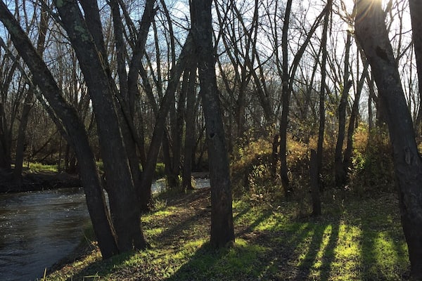 Shadows along the Sunset River near where it converges with the St. Croix. Great hiking from the Sunset Point river access.