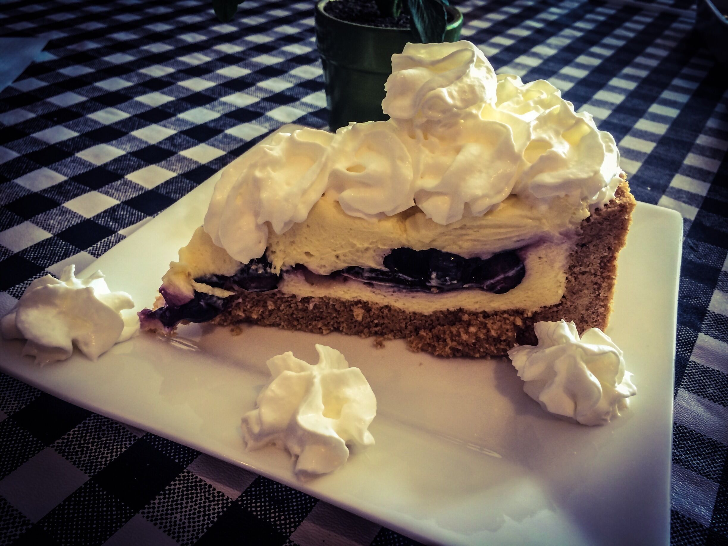 A slice of cake with whipped cream and blueberries on a checkered tablecloth.