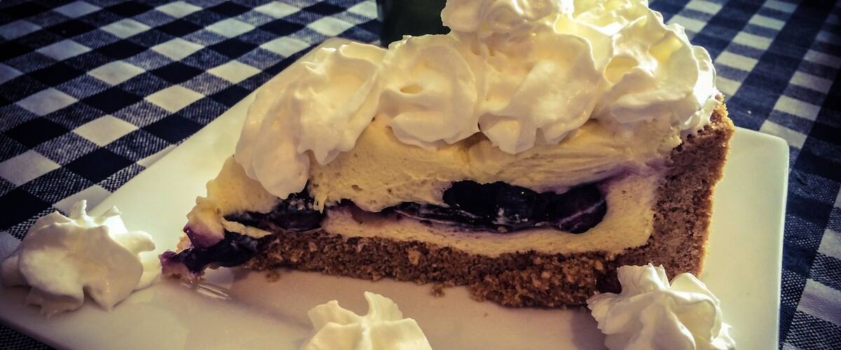 A slice of cake with whipped cream and blueberries on a checkered tablecloth.