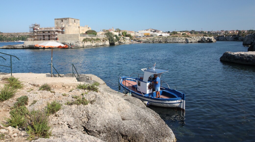 Other view. The castle.