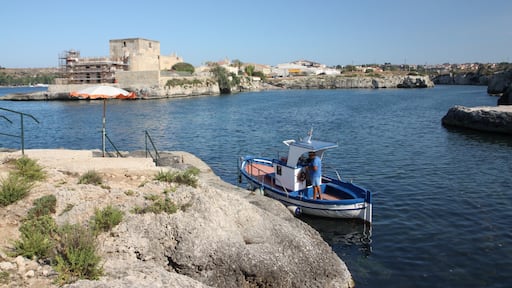 Other view. The castle.