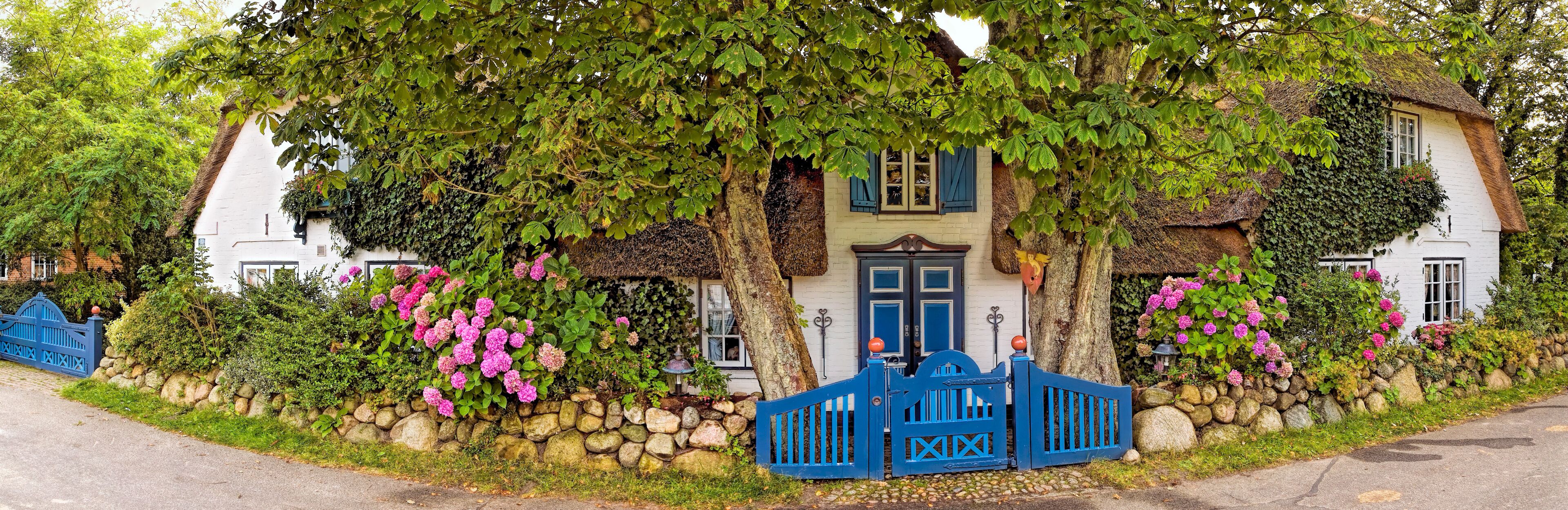 A white house with blue shutters, surrounded by a stone wall and pink hydrangea bushes.